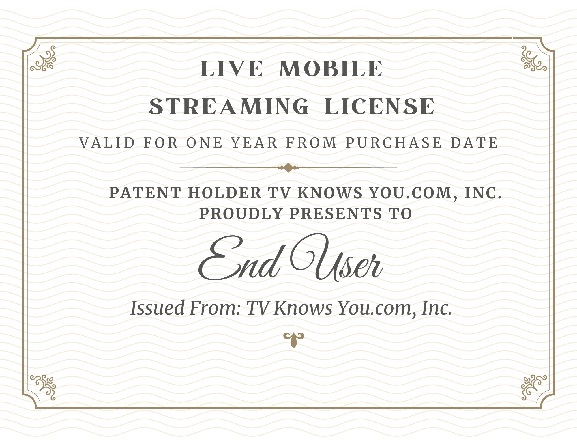 End User Yearly License